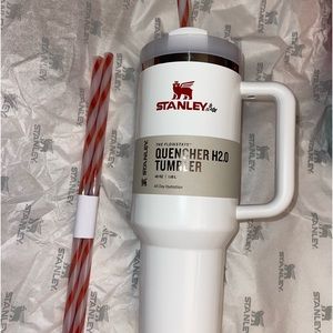 Stanley mistletoe 40oz tumbler